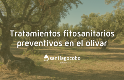 Tratamientos fitosanitarios preventivos en el olivar