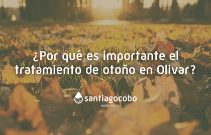 Por qué es importante el tratamiento de otoño en Olivar